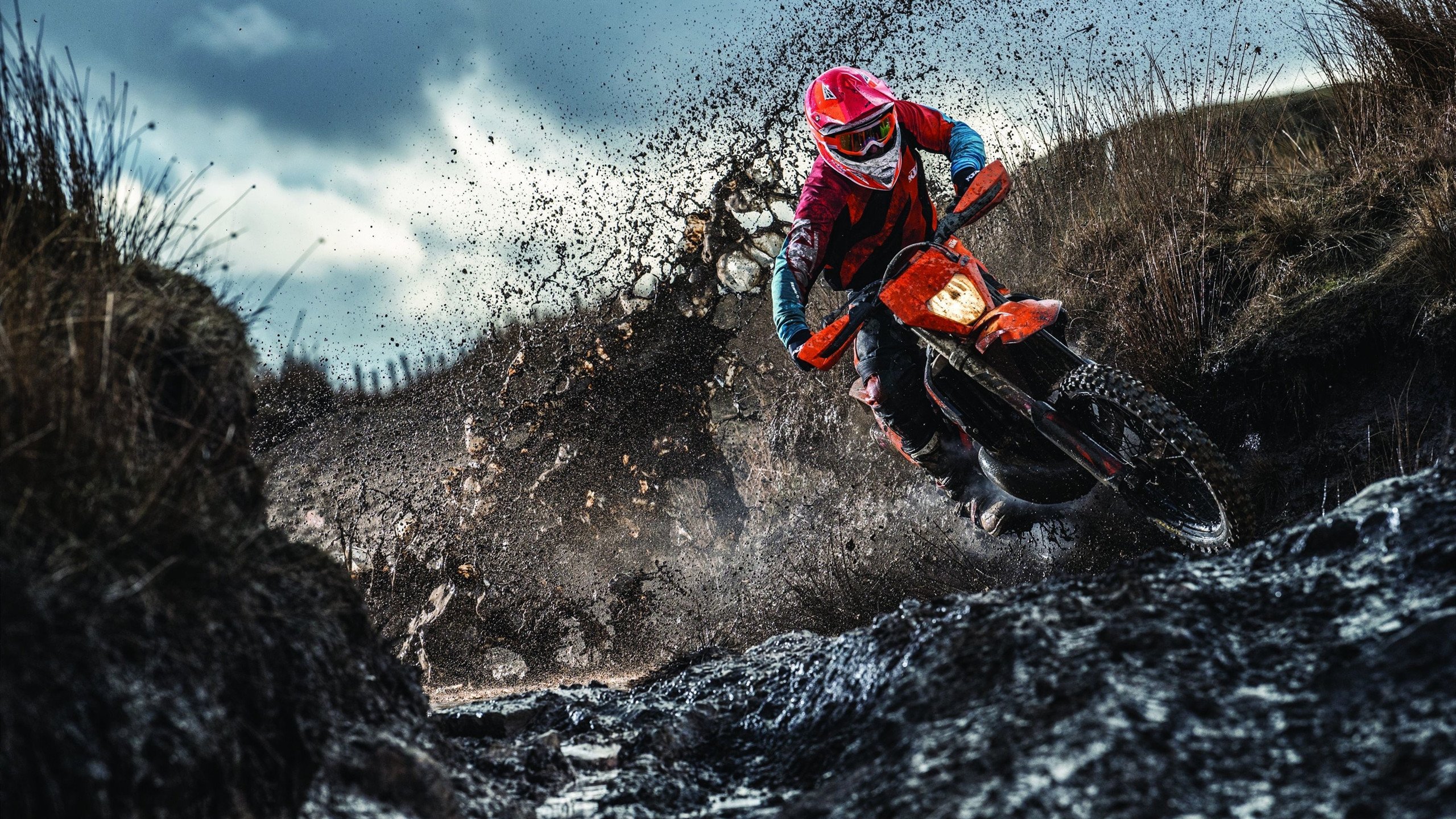 体育新闻中心推动基层体育数字化内容生态创新，体育数字化转型